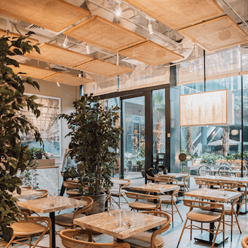 Coastal Elegance at Fynn’s Singapore Restaurant is meticulously crafted and designed by studio Königshausen. Indulge in a culinary journey at our light lunch and dining destination, where contemporary coastal design takes centre stage.  